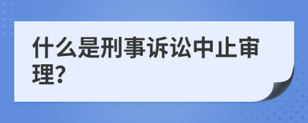 什么是刑事诉讼中止审理？