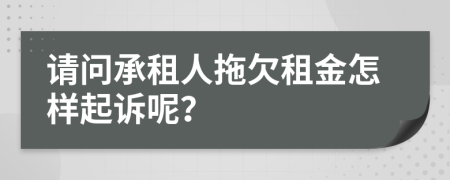 请问承租人拖欠租金怎样起诉呢？