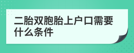 二胎双胞胎上户口需要什么条件