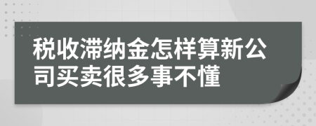 税收滞纳金怎样算新公司买卖很多事不懂