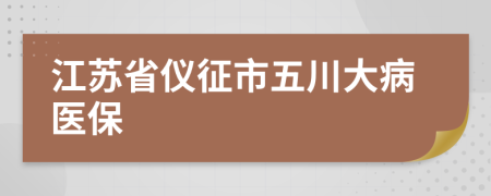 江苏省仪征市五川大病医保