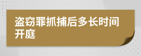 盗窃罪抓捕后多长时间开庭