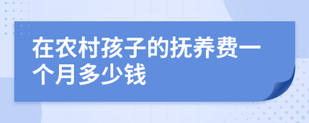 在农村孩子的抚养费一个月多少钱