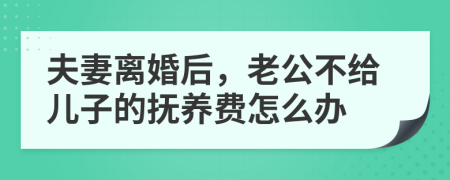 夫妻离婚后，老公不给儿子的抚养费怎么办