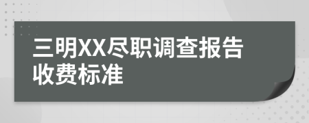 三明XX尽职调查报告收费标准