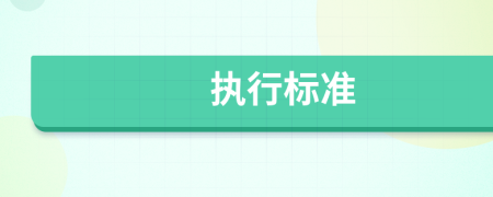 执行标准