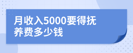 月收入5000要得抚养费多少钱