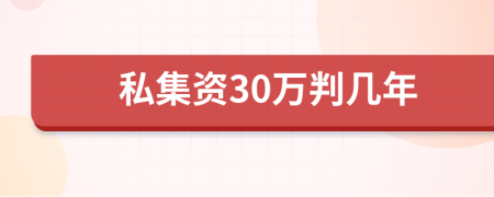 私集资30万判几年