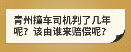 青州撞车司机判了几年呢？该由谁来赔偿呢？