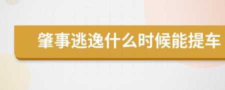 肇事逃逸什么时候能提车