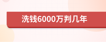 洗钱6000万判几年