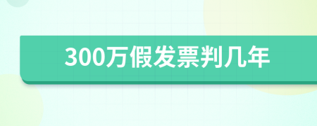 300万假发票判几年