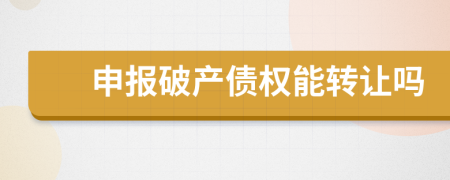 申报破产债权能转让吗