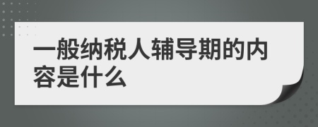 一般纳税人辅导期的内容是什么