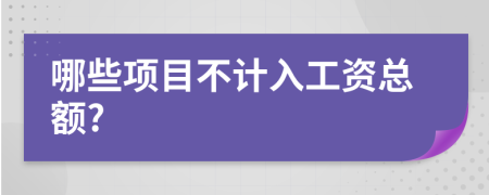 哪些项目不计入工资总额?