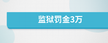 监狱罚金3万