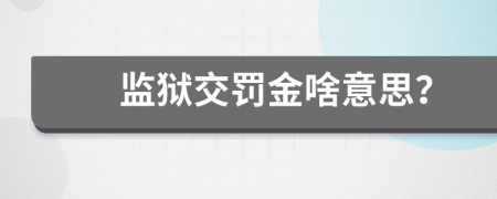 监狱交罚金啥意思？