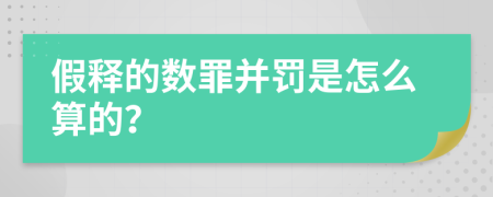 假释的数罪并罚是怎么算的？