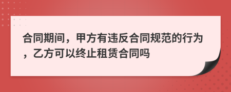 合同期间，甲方有违反合同规范的行为，乙方可以终止租赁合同吗