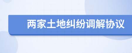 两家土地纠纷调解协议