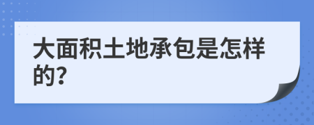 大面积土地承包是怎样的？