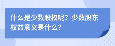 什么是少数股权呢？少数股东权益意义是什么？