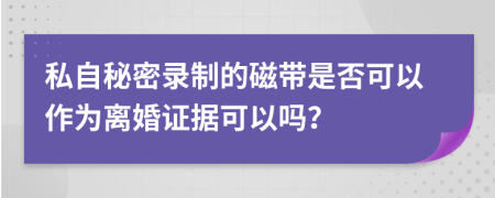 私自秘密录制的磁带是否可以作为离婚证据可以吗？