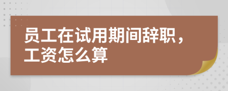 员工在试用期间辞职，工资怎么算