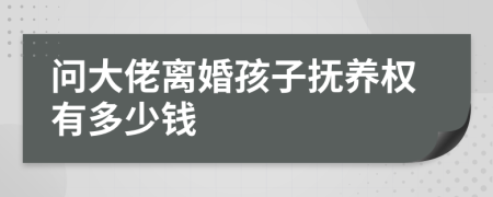 问大佬离婚孩子抚养权有多少钱