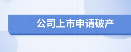 公司上市申请破产