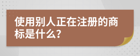 使用别人正在注册的商标是什么？