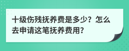 十级伤残抚养费是多少？怎么去申请这笔抚养费用？