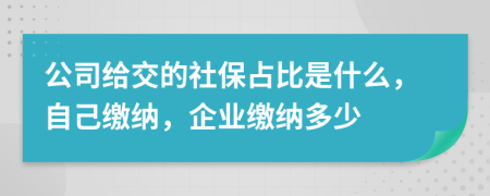 公司给交的社保占比是什么，自己缴纳，企业缴纳多少