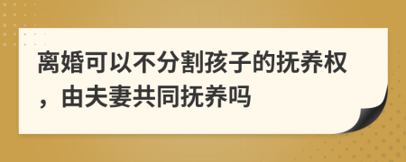 离婚可以不分割孩子的抚养权，由夫妻共同抚养吗