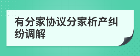 有分家协议分家析产纠纷调解