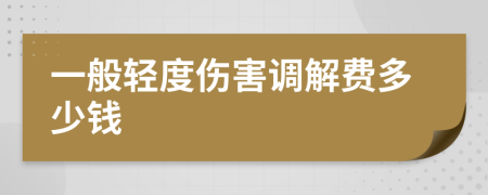 一般轻度伤害调解费多少钱