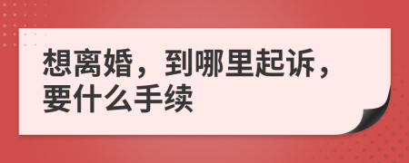 想离婚，到哪里起诉，要什么手续