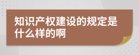 知识产权建设的规定是什么样的啊