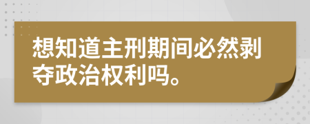 想知道主刑期间必然剥夺政治权利吗。