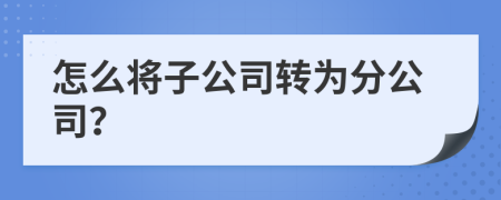 怎么将子公司转为分公司？