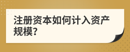 注册资本如何计入资产规模？