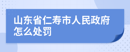 山东省仁寿市人民政府怎么处罚