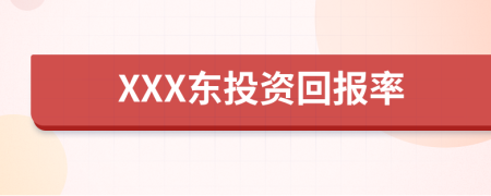 XXX东投资回报率