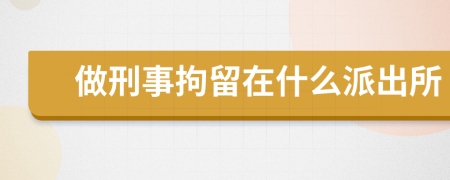 做刑事拘留在什么派出所