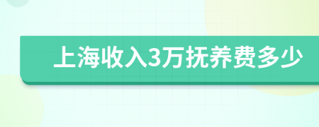 上海收入3万抚养费多少