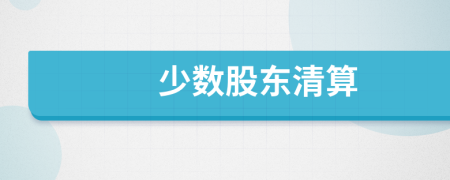 少数股东清算