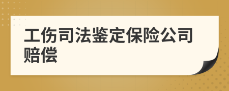 工伤司法鉴定保险公司赔偿