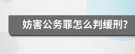 妨害公务罪怎么判缓刑？