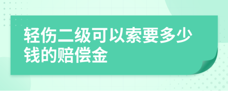 轻伤二级可以索要多少钱的赔偿金