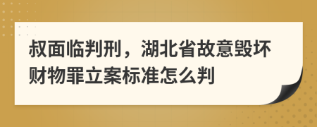 叔面临判刑，湖北省故意毁坏财物罪立案标准怎么判